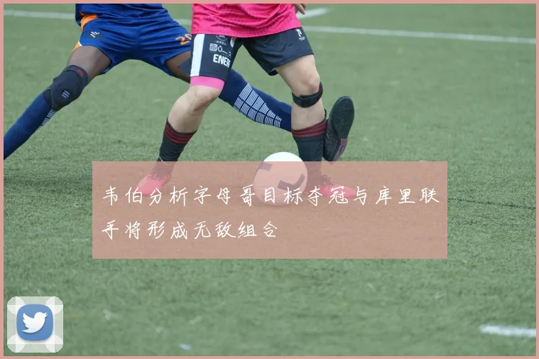 韦伯分析字母哥目标夺冠与库里联手将形成无敌组合