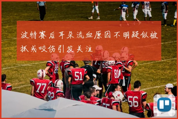 波特赛后耳朵流血原因不明疑似被抓或咬伤引发关注
