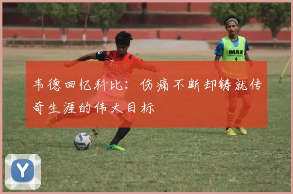 韦德回忆科比：伤痛不断却铸就传奇生涯的伟大目标